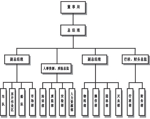 组织结构